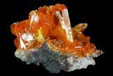 Wulfenite Crystal Cluster - Rowley Mine, AZ #76829-1